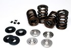 Ferrea 95lbs Dual Valve Springs Titanium Retainers Kit Acura K20a2 a3 z1 Kt4003