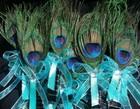 Peacock Feather Wedding Boutonniere For Groom Groomsmen Corsage Prom Quincea  era