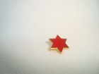 Star Of David Design  blood Red Hexagram Enameled Star  Brooch Pin Gold