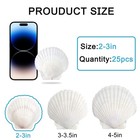 20 Pcs Sea Shells Craft Beach Decoration Ornament For Diy Painting Shell Gift
