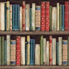 Wallpaper Designer Painterly Vintage Bookshelves Red Blue Green 60 Sq Ft Bolt