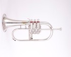 Flugelhorn Sliver  3 Valve  Ultrasonically Clean  Case And Mouthpiece