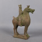 Statue Chinese Horse Terracotta Coated Style Tang Collection Vintage Xx Century