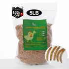 Chicken Treat  Mealworms 1-11lbs 100  Non-gmo Dried - High-protein