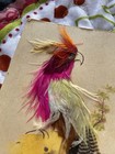 Antique Vtg Victorian Real Bright Feather Bird Hand Painted 4 5 X 3 Postcard