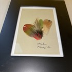 Signed C Hooke Mikmaq Feather Art Native Mi   kmaq Nova Scotia Canada Framed