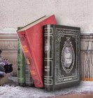 2025 Gemmy Disney Haunted Mansion Moving Animated Haunted Books New In Hand