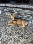 Vintage Whitetail Deer Buck Laying Down Resting 12  Homco 1984 Figurine 12 Point