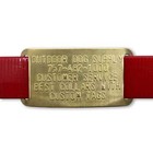 Custom Brass Slide-on Dog Collar Tag Name Plates For 1  Collars