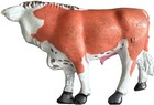 Antique Barclay Manoil Or Similar Hc Lead Steer