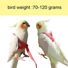 Vanfavori Adjustable Bird Harness With 80 Inch Leash  Outdoor Flying Training Ro