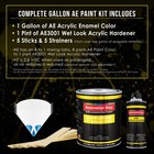 Restoration Shop Super Gloss Jet Black Acrylic Enamel Gallon Kit  Auto Paint