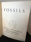 1930s Ward   s Natural Science Catalog - Fossils Collections And Models