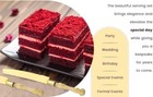 Cake Cutting Set For Wedding  Cake Knife And Server Set For Gift golden   
