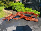Driftwood Malaysian Aquariums Fish Reptiles Decoration Pet Supplies Art Garden