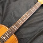 Fender Highway Series Parlor Rw All-mahogany Acoustic Guitar W fishman Pickup