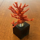 Antique Mediterranean Natural Branch Red Coral Display Large 4 25   