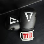 Title Boxing Gloves 12oz Classic Black   White Classic Gloves