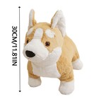 Jellycat London Betty Corgi Dog Plush Bashful Soft Toy Puppy Brown Nwt Rare Htf