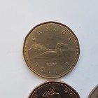 Lot Of 7 Canadian One Dollar Coins - See Pics And Descriptions