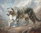 Snow Leopard In The Mountains Diy Chart Counted Cross Stitch Patterns Needlework