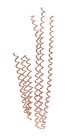 5 Pack - Copper Electro Culture Coil   Gardening Antenna   Farming   Plants  