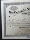 1890 Central National Bank Cleveland Stock Certificate  164 Signed Thomas Wilson