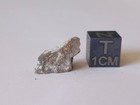     Meteorite Nwa 13859  lunar  - 1 5 G    