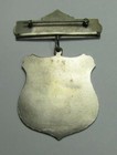 Neop New England Order United For Protection Antique Pinback Medallion Badge