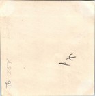 Vintage Photograph Photo Picture Family Snapshot Family Early Photography