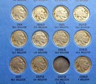 Buffalo Nickel Collection 1913-38    10 Semi-keys   44 Total Coins 