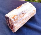 1 Lb Natural Opalized Mirror Polished Multicolor Petrified Wood Uv