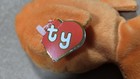 Goldie- Ty Beanie Babies -  rare  1st Tush Tag 2nd Hang Creased And Names Inside