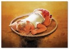 Lovely Children-flowers Of Life Sleeping Girl Kids Art New Modern Postcard