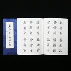 Chinese Calligraphy Copybook Adults Student Cursive Script Brush Copy Copybook