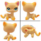 Littlest Pet Shop Lps Shorthair Cat 339 Who Love Lps Great Gifts Rare