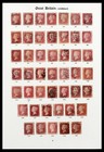 Lot 39000 Super Stamp Collection Great Britain 1840-1936 On Albumpages 
