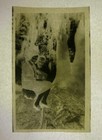 1920s Dating Couple Florida Man Woman Antique Vintage Photo Negative 2 5 X 4 5 F