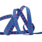 Tula Pink - Tiny Pink Tortoise Dots On Light Blue  3 8  Ribbon By Renaissance