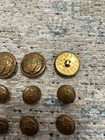 Waterbury Rubbed Brass Gold Shield Wings Blazer Replacement Button Set 9