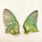 Lovebird Bird Wings Craft Oddity Curiosity Display Taxidermy Decor Gift Natural