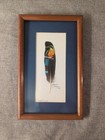 Framed Signed Art On Feathers Guardabarranco Colorful Bird Vtg 2009 9 75 x6 