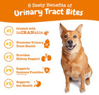 Zesty Paws Cranberry Supplement For Dogs - Bladder 90 Count  pack Of 1  