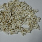 Lot Of 250 Assorted Small Coyote Teeth Real Cleaned Taxidermy Weird Goth  4093