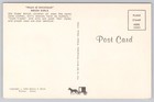 Super Cute Amish Girls In Pennsylvania Dutch Country  Vintage Postcard