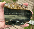 High Grade- Blue Mountain Picture Jasper Lapidary Display Slab