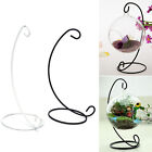 Hanging Glass Vase Flower Iron Stand Home Terrarium Planter Clear Plant N_z8