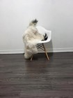 Icelandic Sheepskin Rug   Sheepskin Rug  Soft Silky Long Wool  c435