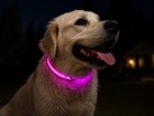 Led Light Up Dog Collar Pink Flashing Safety Collar Xl Night