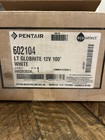 Pentair Globrite White Led Light 12v 15w 100  Cord - 602104